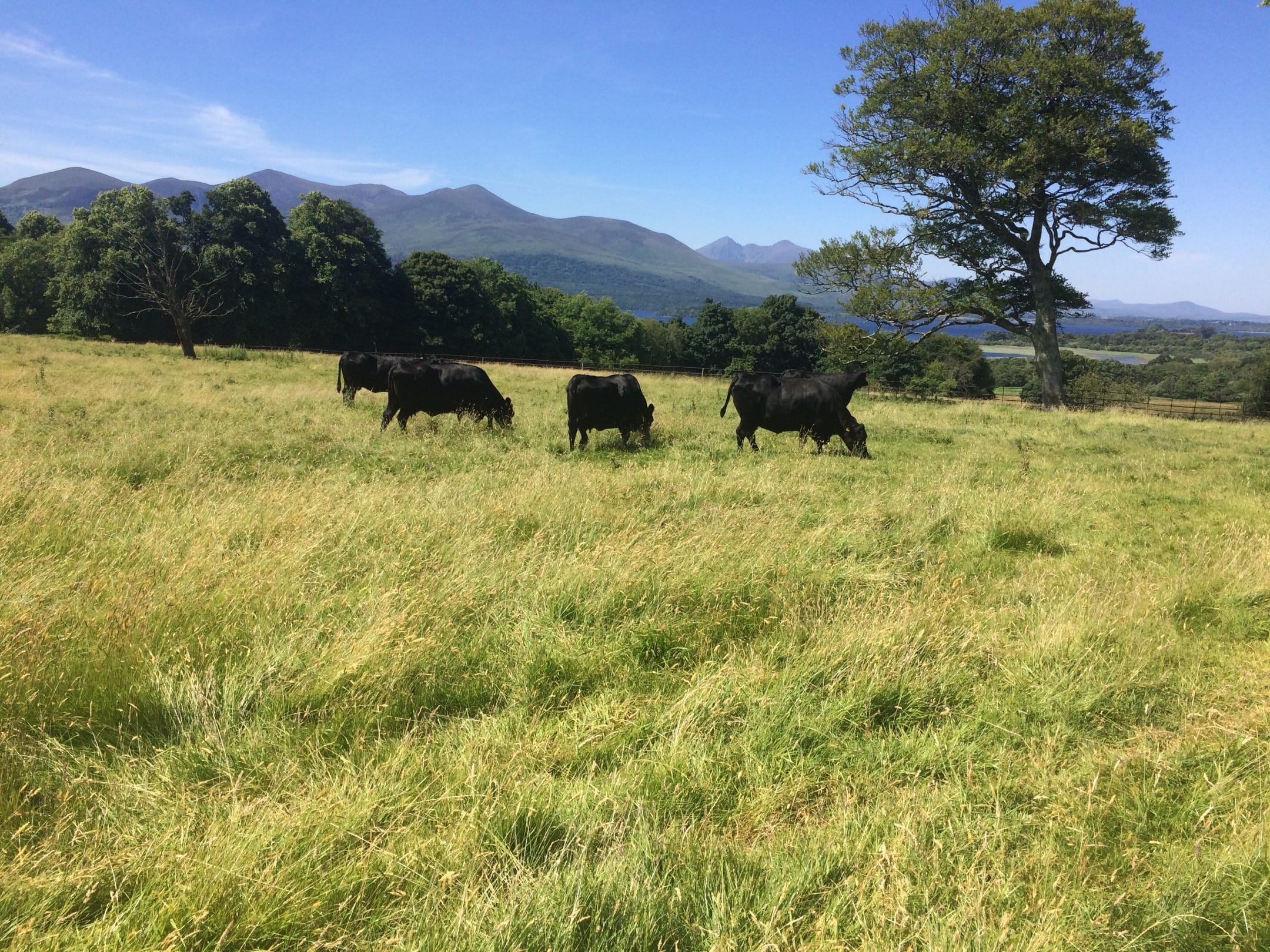 Luxury Private Tours