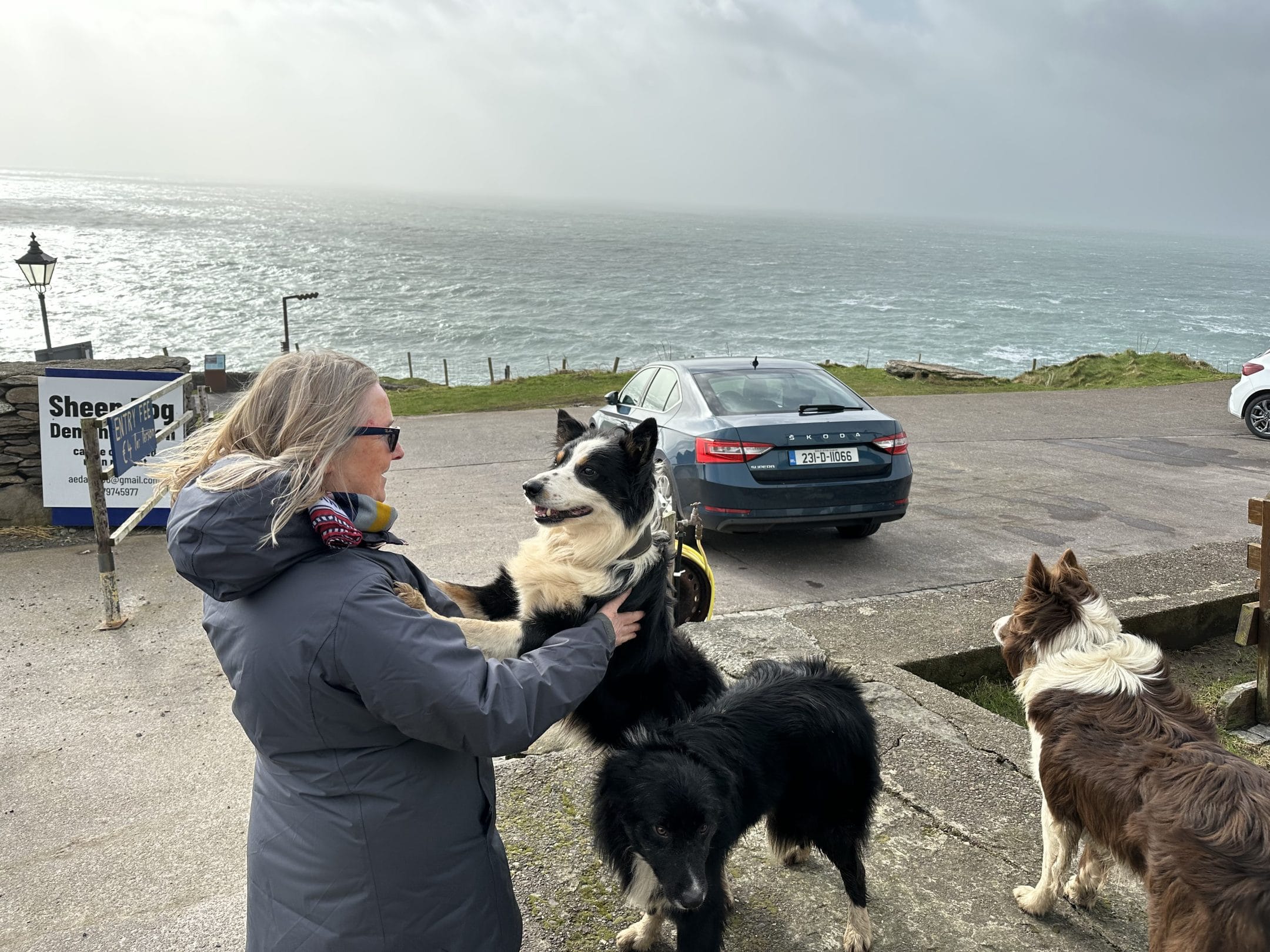 Why Hire a Private Driver in Killarney?