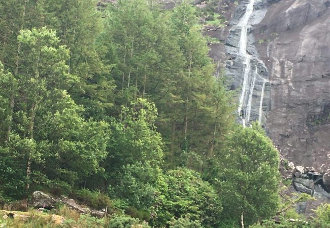 Ancestry Tours to Beara